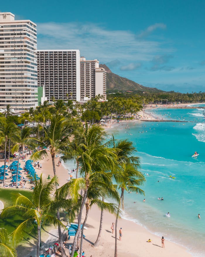 High Rise Buildings Near Beach