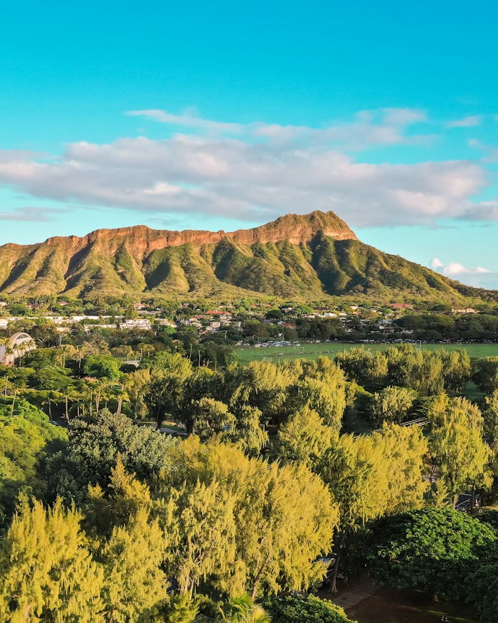 Aerial Shot of a Landscape